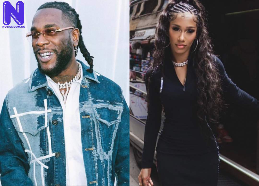Burna Boy replies America Rapper, Bia who denied knowing him, Wizkid, Davido 8QMYSGAT
