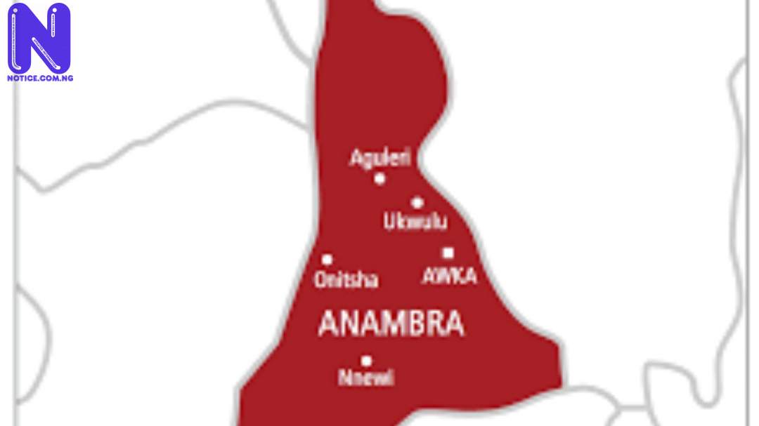 School proprietor’s 11 dogs maul toddler to death in Anambra ANAMBRA50305