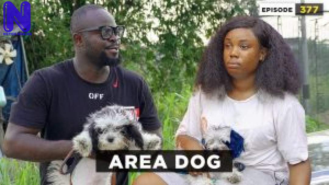 Download Comedy Video: Mark Angel - Area Dog AREA-DOG-EPISODE-377-MARK-ANGEL-COMEDY-300X169UNKNOWN