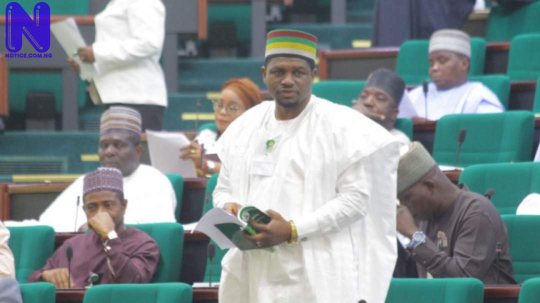 Security agents are arresting wrong suspects in Plateau killings – Lawmaker alleges BAGOS-1280X720-190619