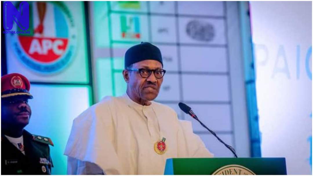 After seven years of failure, Buhari transfers burden to successor - Fuel Subsidy BUHARI120634