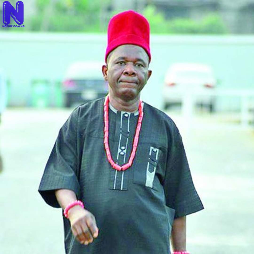 Nollywood actor, Chiwetalu Agu released from DSS detention CHIWETALU-AGU-1110498