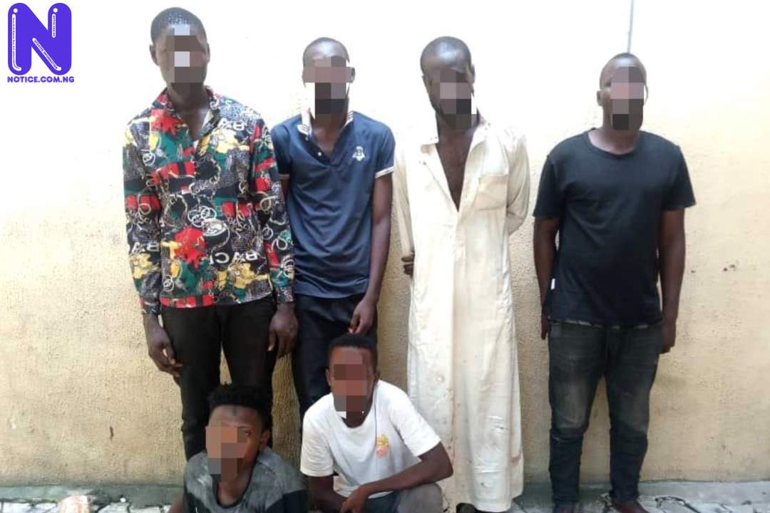 BDC operators arrested for kidnapping colleague’s son in Lagos COLLAGE-MAKER-16-NOV-2022-12