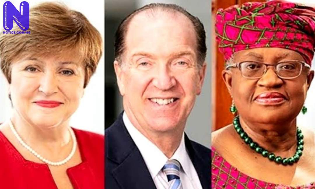 FAO, IMF, WTO, World Bank raise alarm over food crisis COLLAGE-MAKER-22-SEP-2022-10