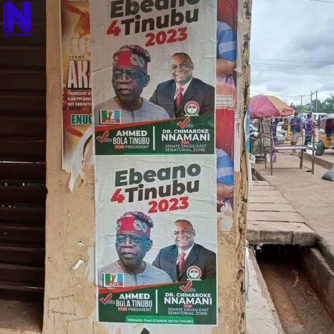 Campaign poster of PDP senator, Chimaroke, supporting Tinubu emerges online - 2023 COLLAGE-MAKER-27-SEP-2022-05