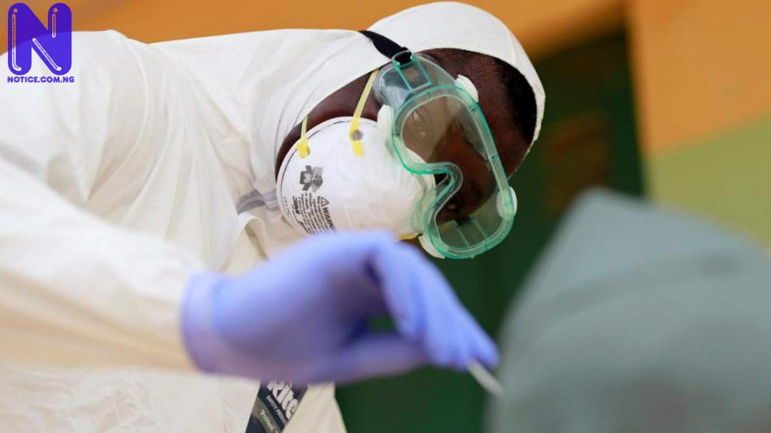  Nigeria records more deaths, over 626 fresh cases in 9 states, FCT - COVID-19 CORONAVIRUS-TEST65566