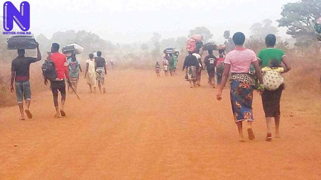 Stop the orgy of violence in Benue - Friday Adakole Elijah CRISIS