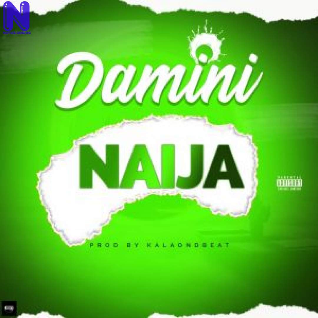 Download Music Mp3: Damini - Naija DAMINI NAIJA 9JAFLAVER