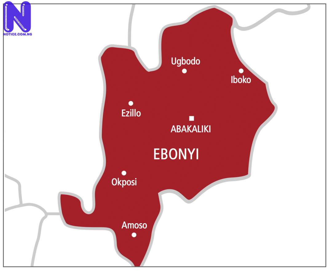  Traditional ruler shot dead in Ebonyi - Election results EBONYI57636