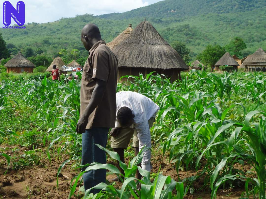 FARMER