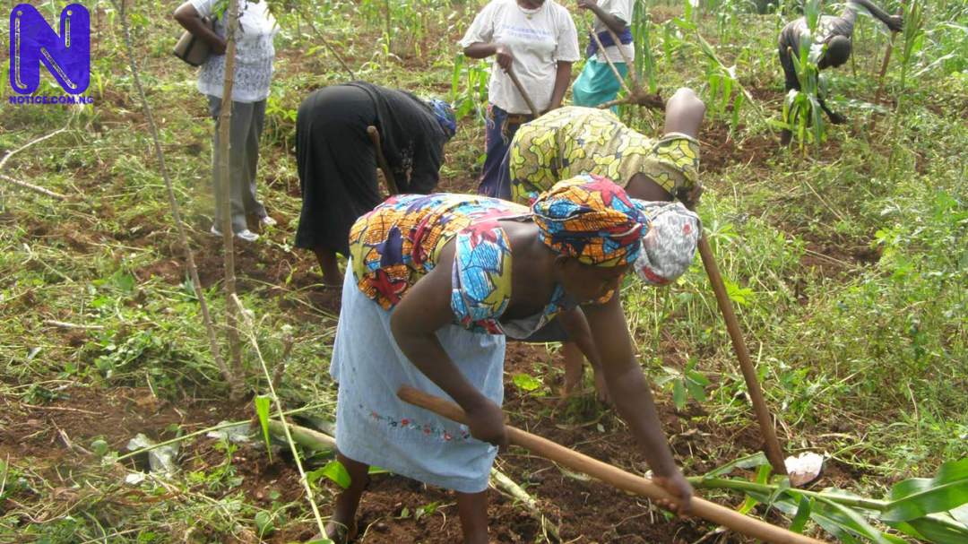 FARMERS