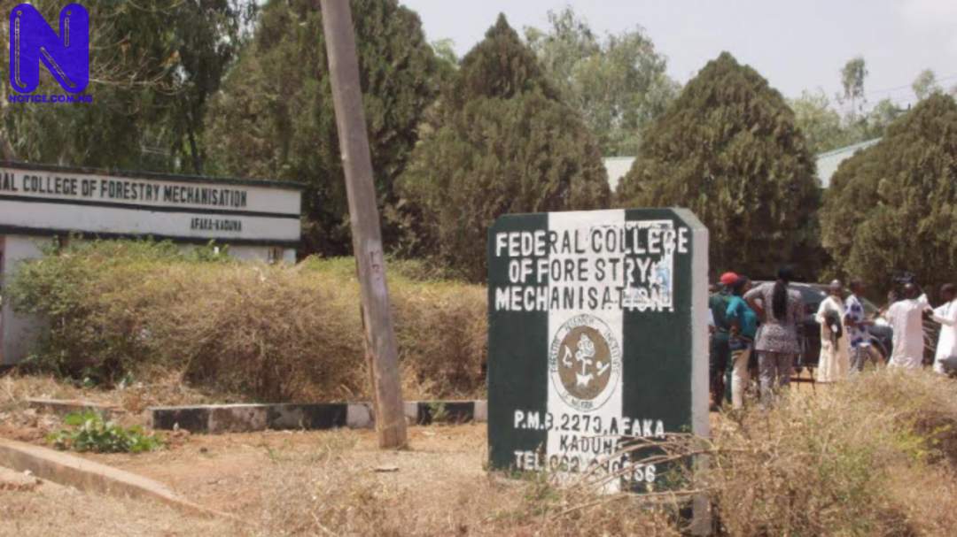 FEDERAL-COLLEGE-OF-FORESTRY-MECHANISATION-AFAKA
