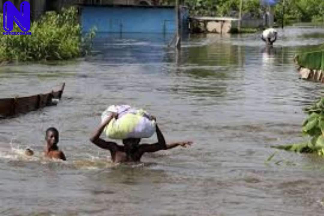 Expert warns Kaduna residents to clear drainages or expect flood FLOOD-1