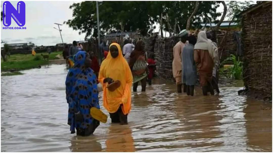 FLOOD-IN-YOBE