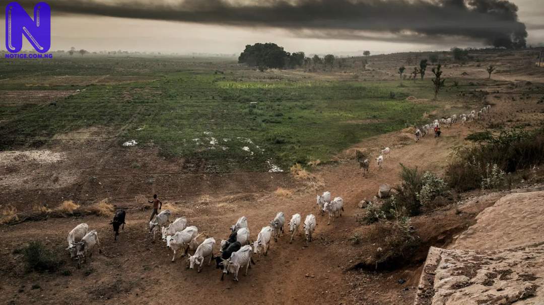 FULANI-HERDSMEN