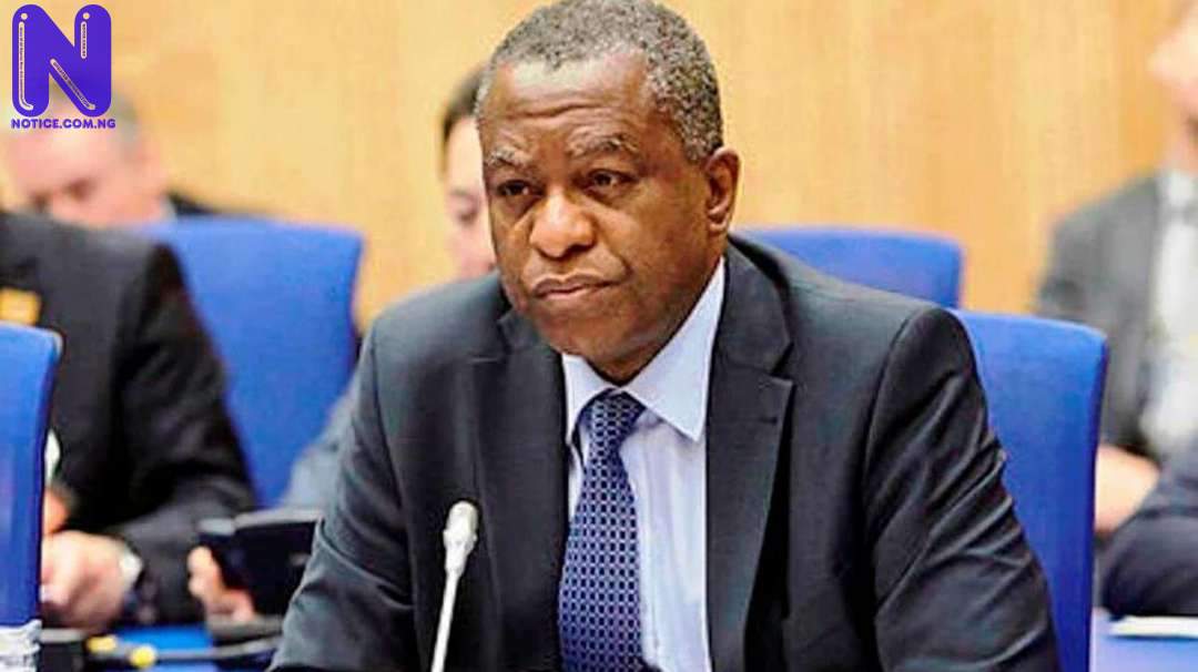 Nigeria adopts policy for citizens abroad GEOFFREY-ONYEAMA