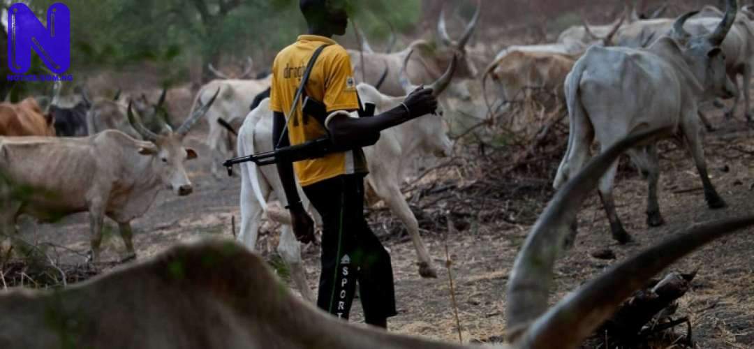 HERDSMEN-4
