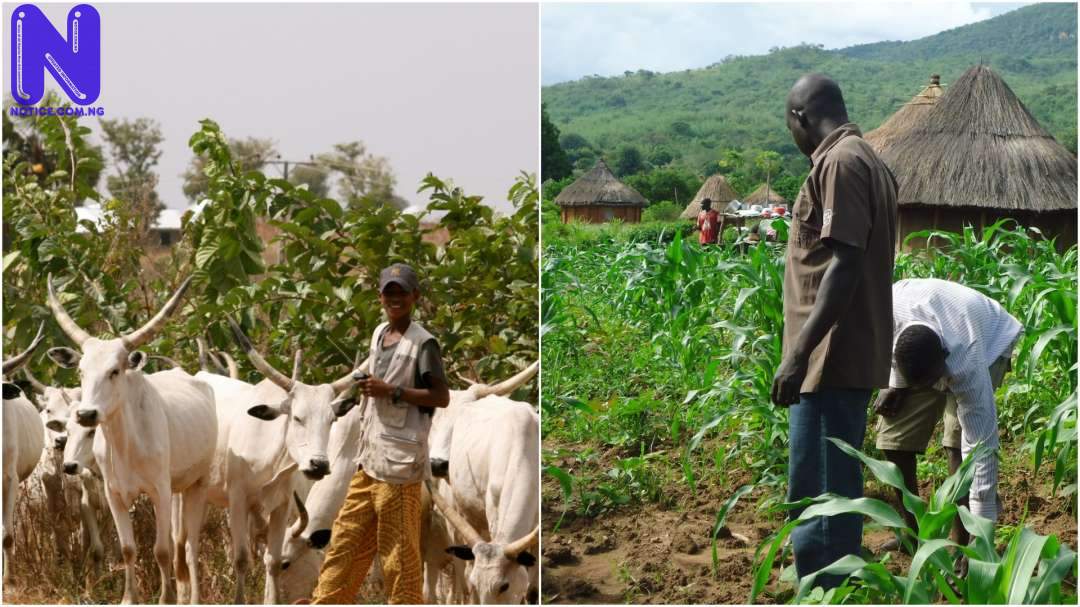 HERDSMEN-AND-FARMER