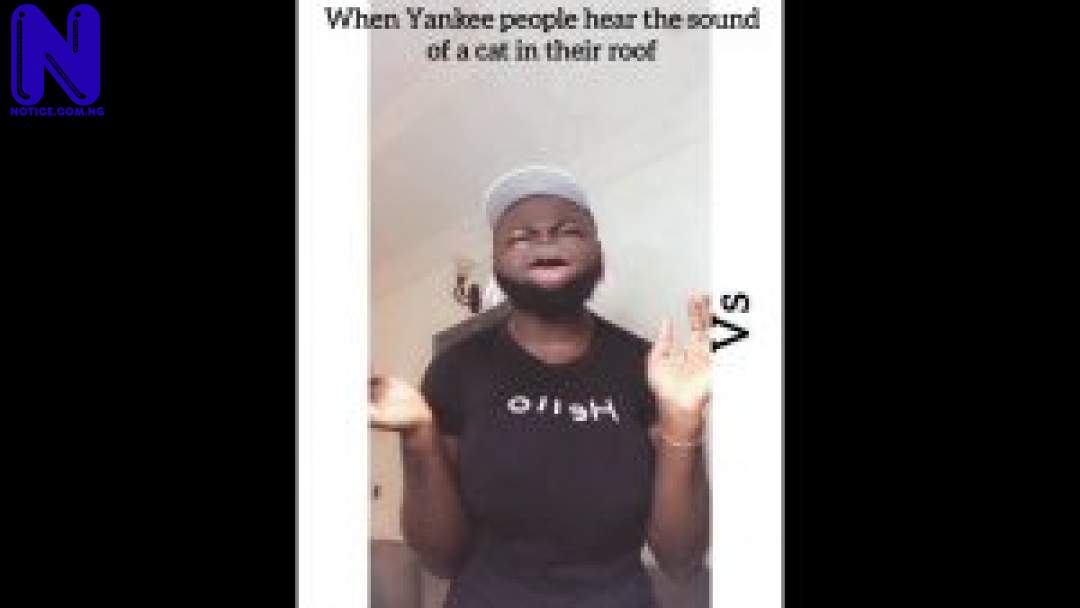 HOW-AMERICANS-REACT-TO-A-CAT-IN-THEIR-ROOF-VS-HOW-NIGERIANS-WILL-300X169