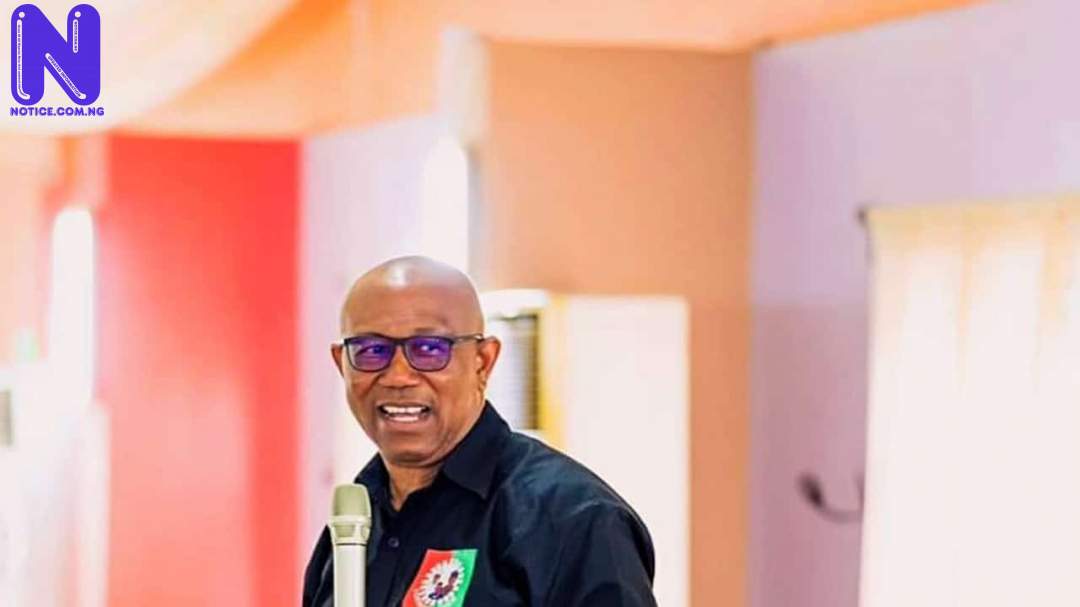 You’re resilient – Peter Obi reacts as Adeleke becomes gov - Osun IMAGE4-8-124798
