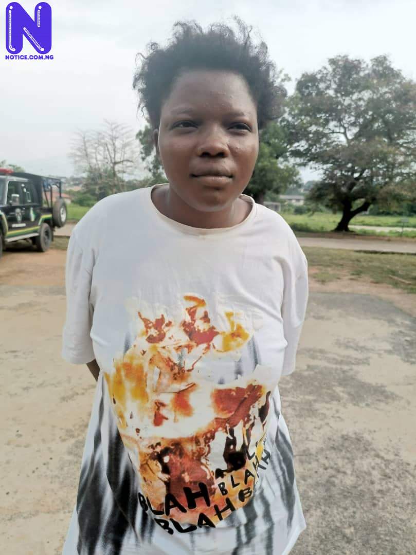 Police arrest woman who absconded with three-day-old baby in Ibadan IMG-20220726-WA0017-170283