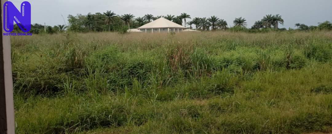 Weeds, reptiles take over abandoned NNPC, SEPLAT 200-bed infectious diseases centre in Imo IMG 20210921 115442 740420478
