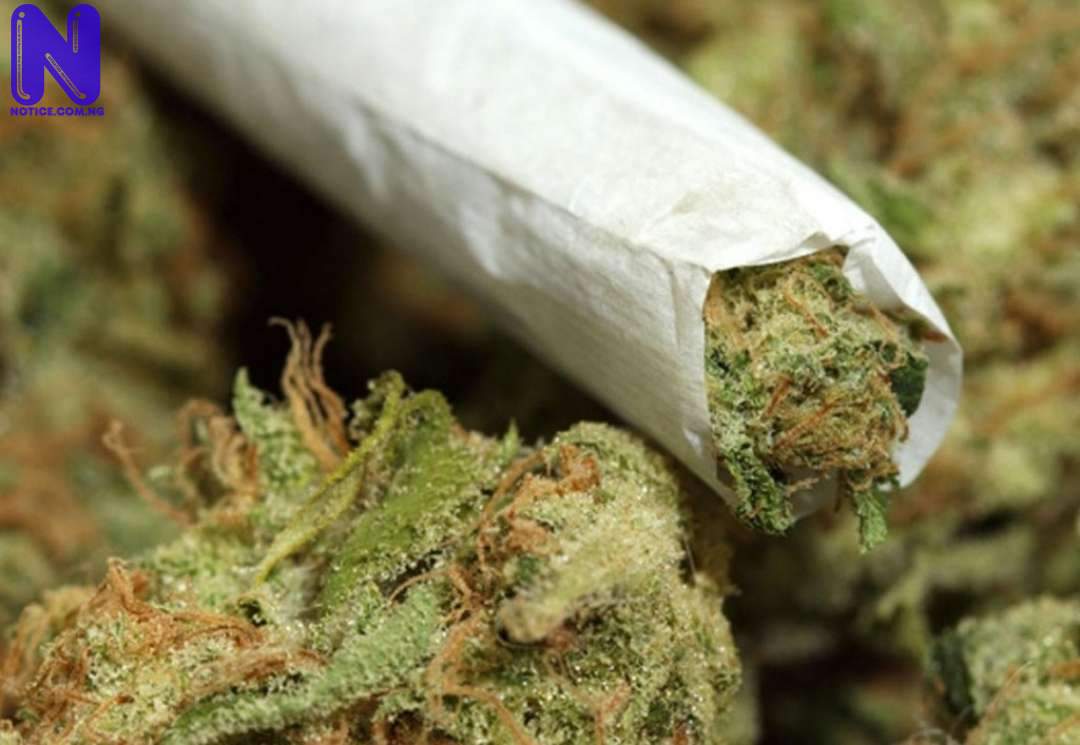INDIAN-HEMP