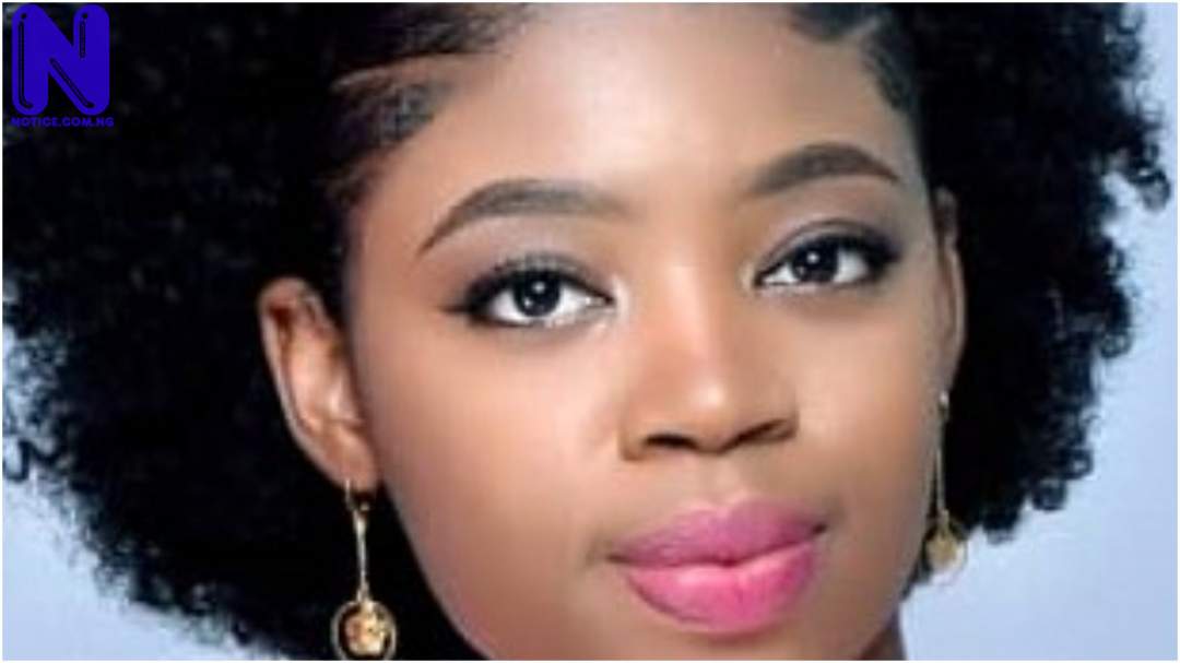 Fulani are not Nigeria’s problem – An Igbo woman’s view - Chisom Omeokachie JV2LUC7W