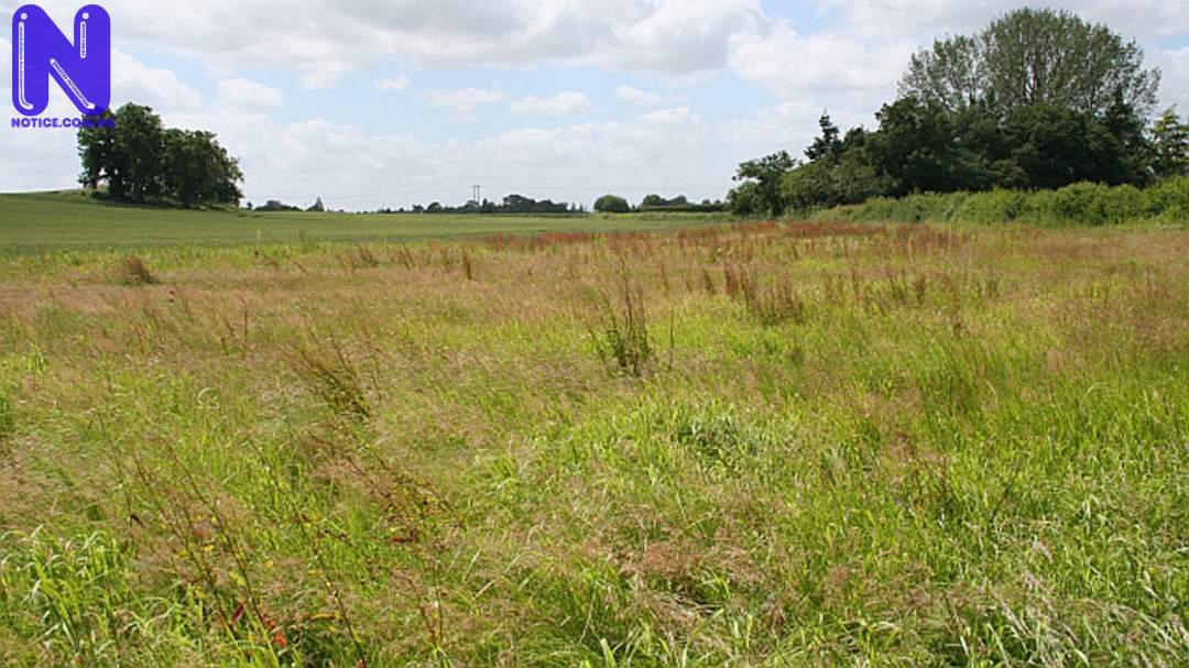 LAND