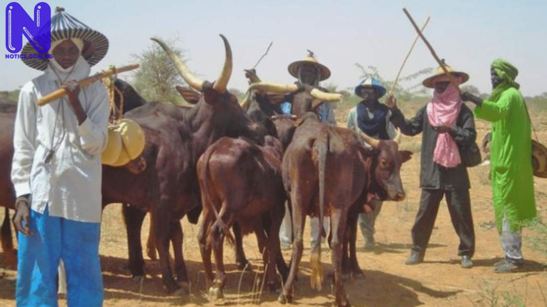 We need one month to take our stand – Miyetti Allah - Enugu anti-open grazing bill MIYETTI-ALLAH-1-660X367402X-1280X720-1403000