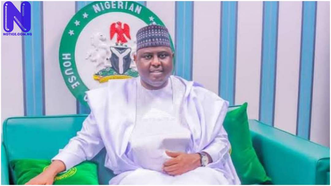 Bandits are terrorists – Nigerian lawmaker, Namdas NAMDAS128613