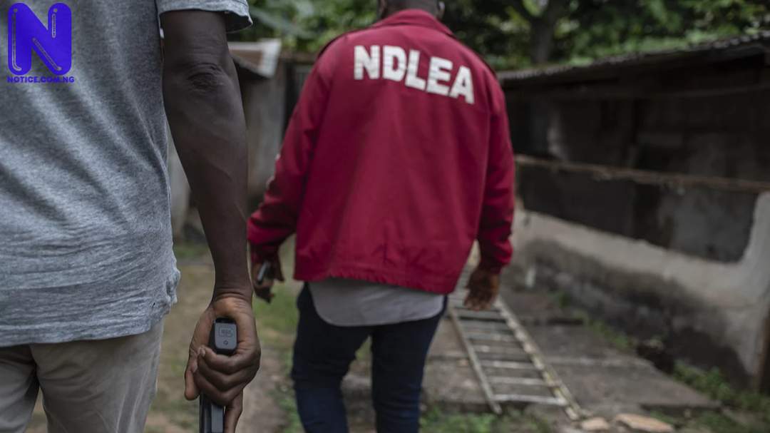 NDLEA