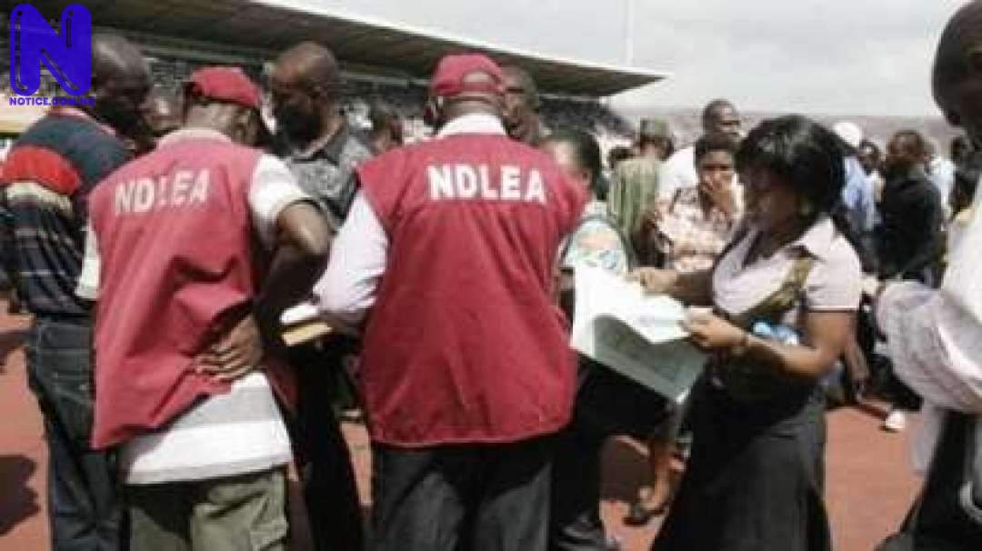 NDLEA2