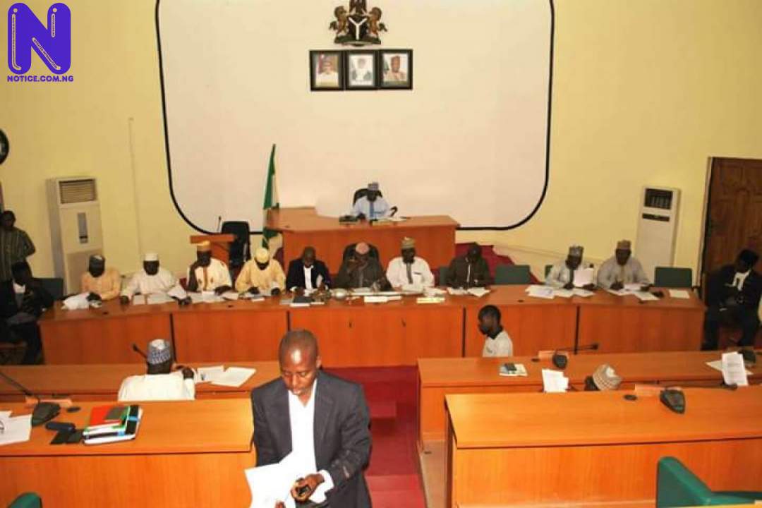 Niger lawmakers pass N60.7bn for 2021 - LGs budget NIGER-HOUSE-OF-ASSEMBLY-1200X801-196356