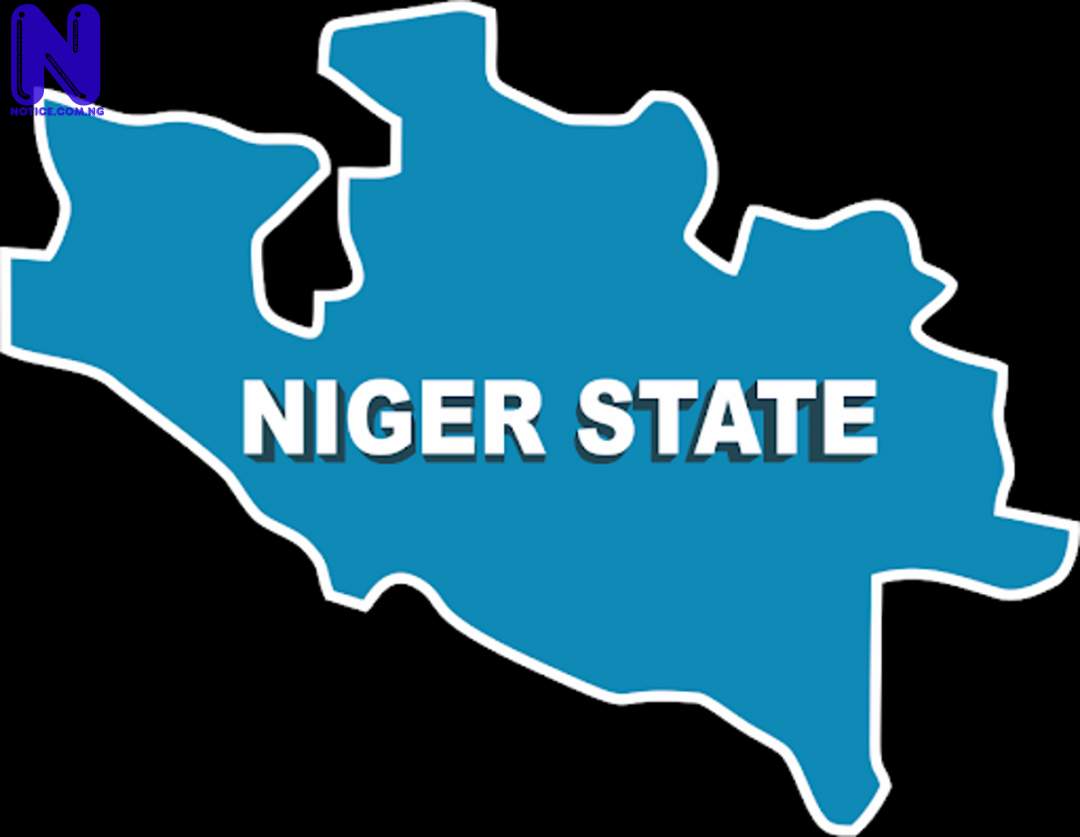 NIGER-STATE-MAP