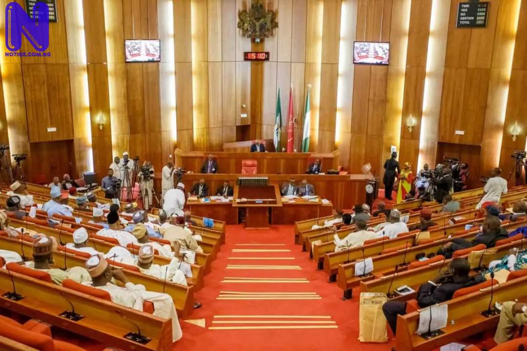 NIGERIA-SENATE