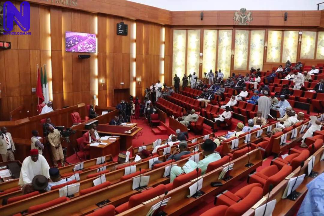 NIGERIAN-SENATE