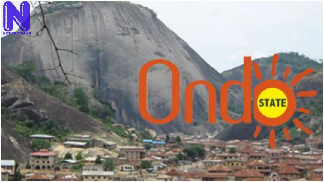 25 persons arrested for violating environmental laws - Ondo ONDO85847