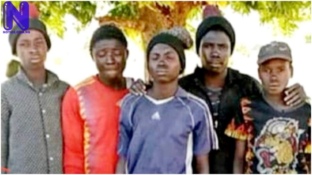 Boko Haram fighters surrender in Borno OTOAYBMP157629