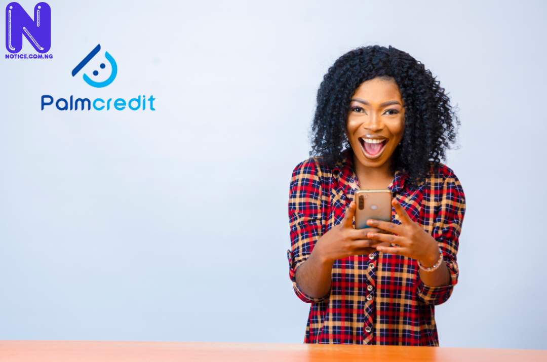 How genuine is PalmCredit's promises of stressless, no-collateral loans PALMCREDIT-LEAD-IMAGE-1024X678772087