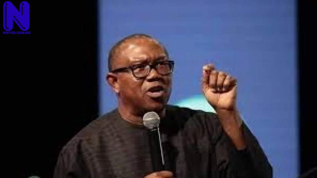 PETER-OBI-1280X720