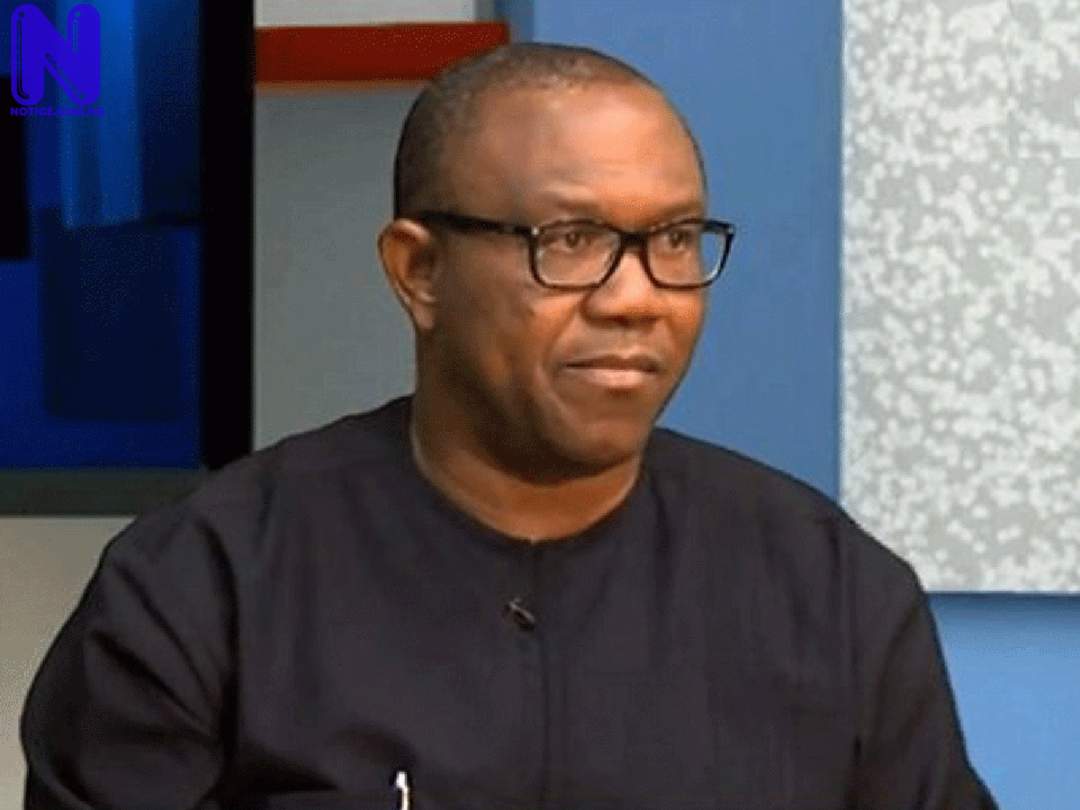 Peter Obi’s supporters under fire for asking Twitter to ban Omokri, Adeyanju, others - 2023 PETER-OBI588507