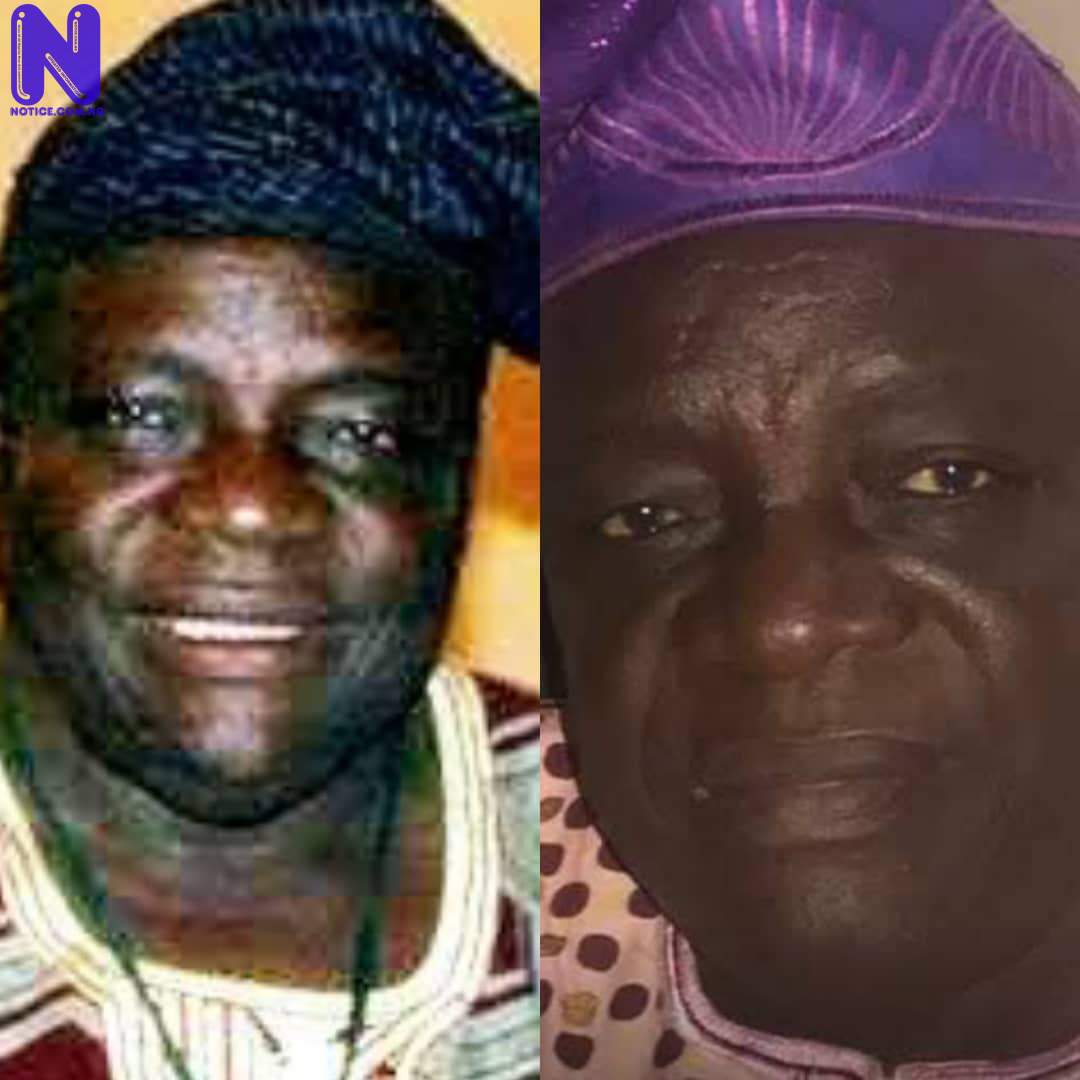PROFESSOR-AYO-AKINWALE