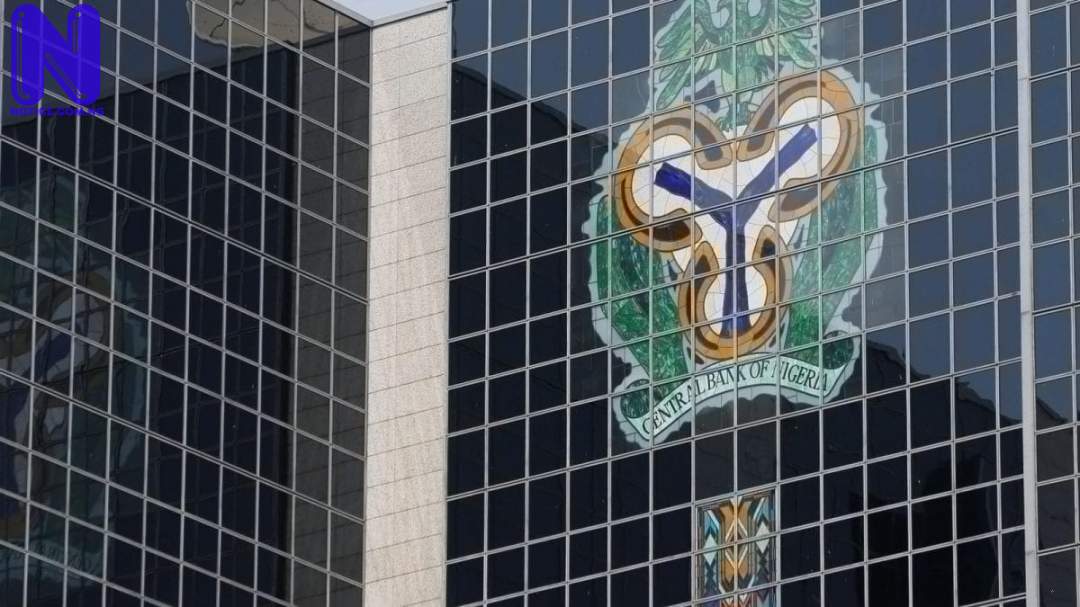 CBN doing trial and error, dangerous policy – Expert - Ban of FX sale to BDC RTX4HPB4-E1542673923834125195
