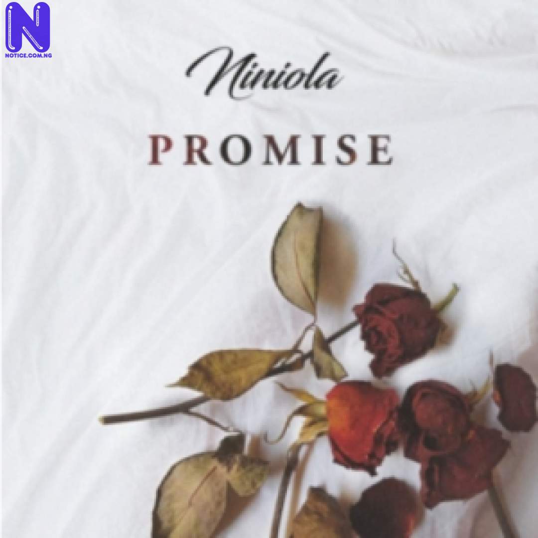 Download Music Video: Niniola – Promise SCREENSHOT 2021-02-12-NINIOLA-DROPS-NEW-2021-SONG-PROMISE-TOOXCLUSIVE-300X300