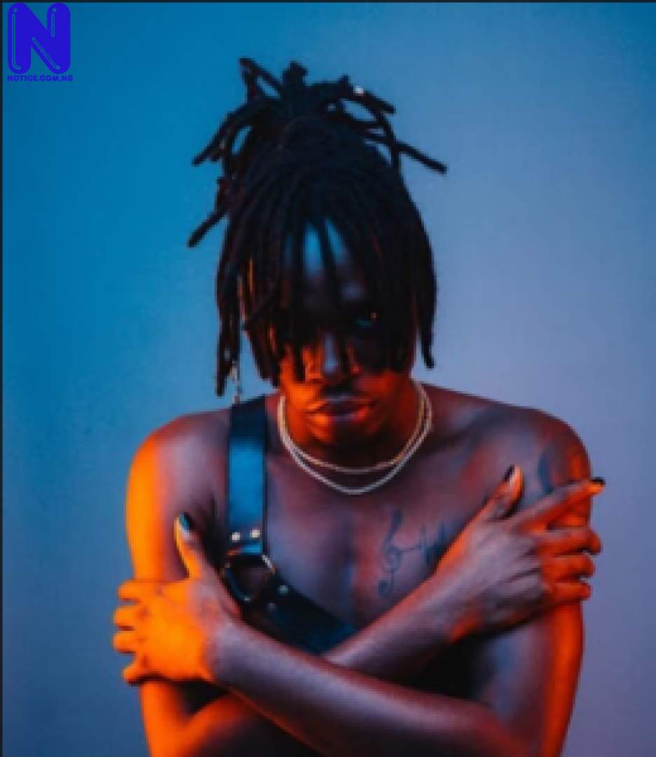 SCREENSHOT 2021-04-05-FIREBOY-GOOGLE-SEARCH-260X300