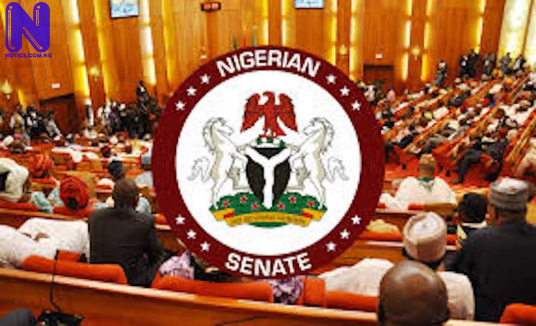 SENATE