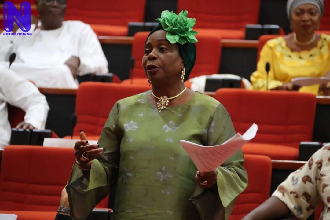 SENATOR-BIODUN-OLUJIMI-SENATE-MINORITY-LEADER