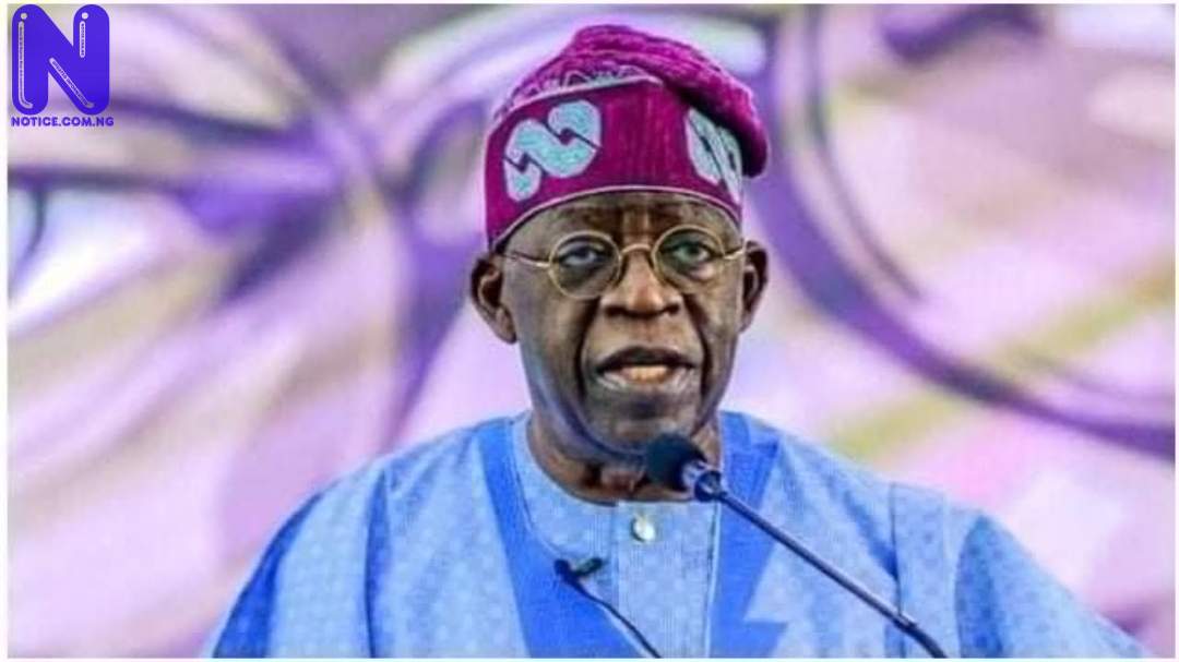 Ogogo, Jide Kosoko give reason for supporting Tinubu - 2023 TINUBU81213