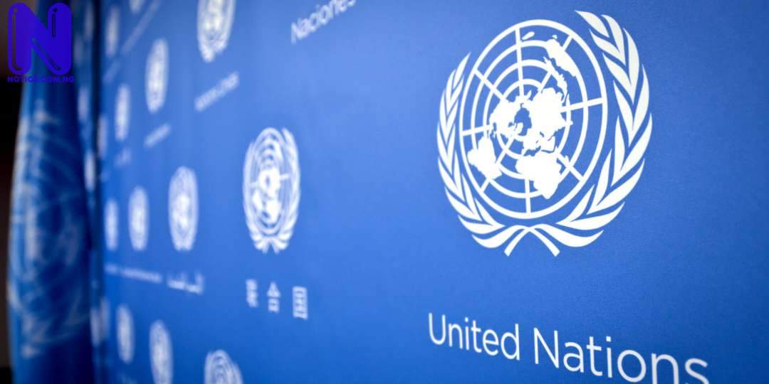  UN hails Nigerian military medical team in Mali - Peacekeeping UN1